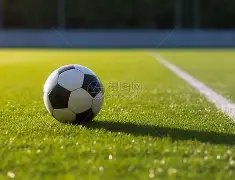 岁奶奶力压,群英,日本高龄电,捕鱼达人官方在线网站,捕鱼达人3D官方正版,捕鱼达人在线试玩,捕鱼达人3网页版