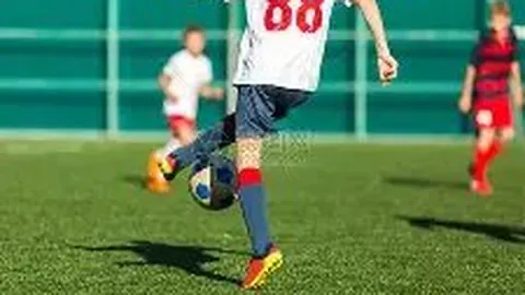 布朗半场高效输出，杰伦·布朗14分6助，普理查德13分8助领跑数据