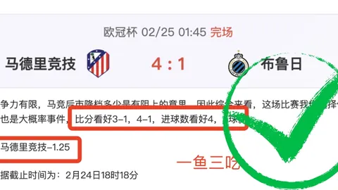 激战一触即发！实力对决：萨索洛力压群雄，挑战克雷莫纳谁能问鼎？